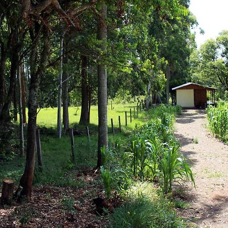 Cabana Na Serra Gaucha! Picada Cafe Bagian luar foto